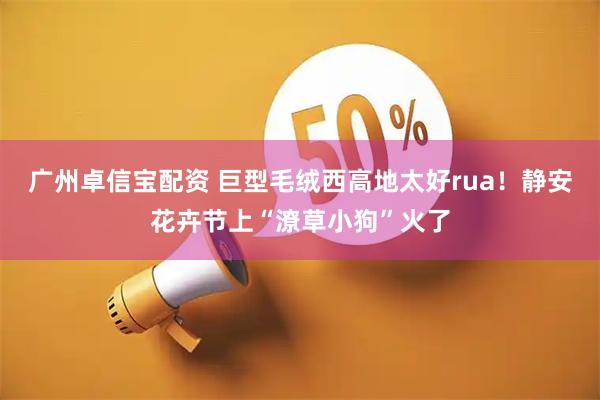 广州卓信宝配资 巨型毛绒西高地太好rua！静安花卉节上“潦草小狗”火了