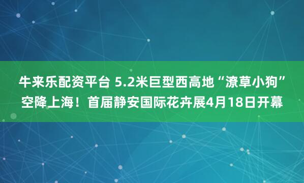 牛来乐配资平台 5.2米巨型西高地“潦草小狗”空降上海！首届静安国际花卉展4月18日开幕