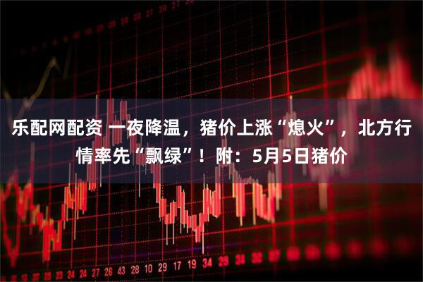 乐配网配资 一夜降温，猪价上涨“熄火”，北方行情率先“飘绿”！附：5月5日猪价