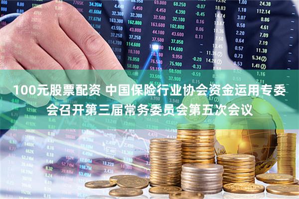 100元股票配资 中国保险行业协会资金运用专委会召开第三届常务委员会第五次会议